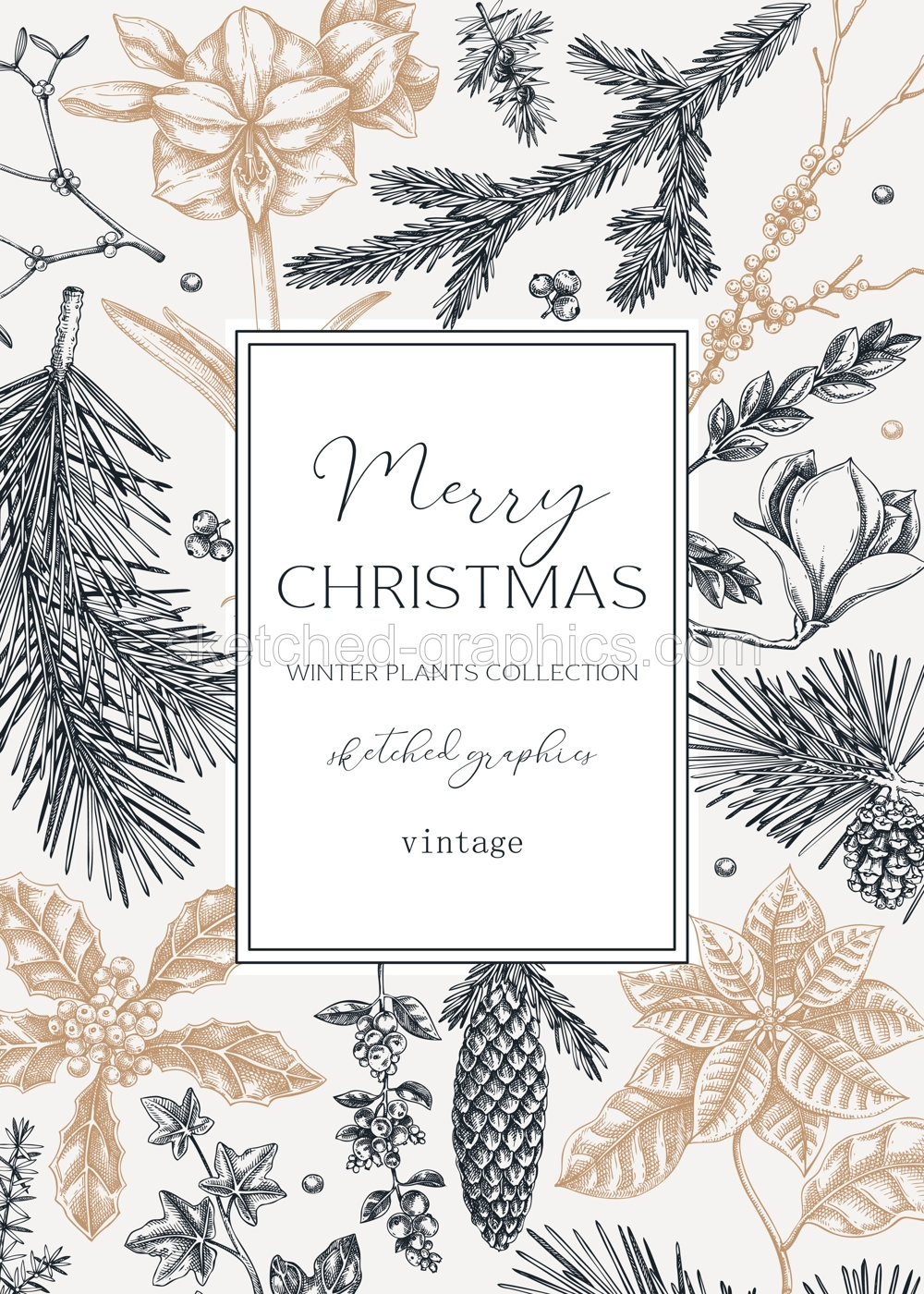 Vintage Christmas card design. Winter nature frame template. Conifer trees, winter flower sketches. Hand drawn vector illustration. NOT AI generated Illustration